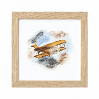 Transportation - Airplane